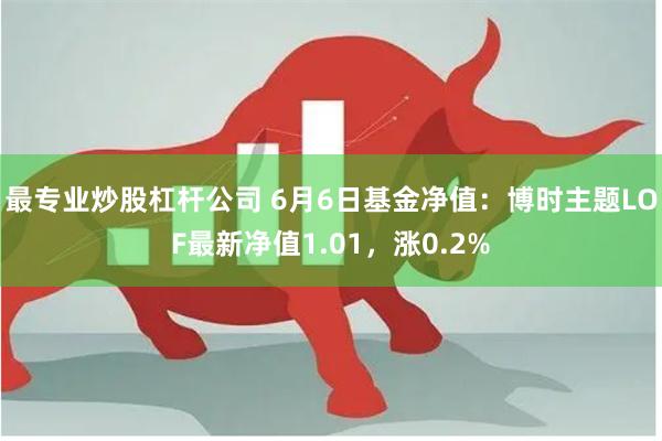 最专业炒股杠杆公司 6月6日基金净值：博时主题LOF最新净值1.01，涨0.2%