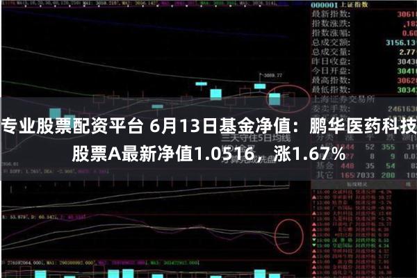 专业股票配资平台 6月13日基金净值：鹏华医药科技股票A最新净值1.0516，涨1.67%