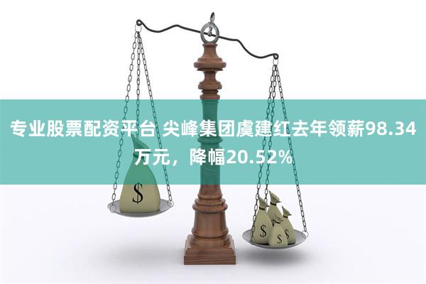 专业股票配资平台 尖峰集团虞建红去年领薪98.34万元，降幅20.52%