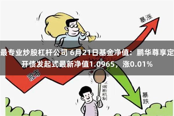 最专业炒股杠杆公司 6月21日基金净值：鹏华尊享定开债发起式最新净值1.0965，涨0.01%