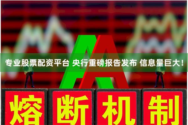 专业股票配资平台 央行重磅报告发布 信息量巨大！