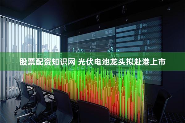 股票配资知识网 光伏电池龙头拟赴港上市