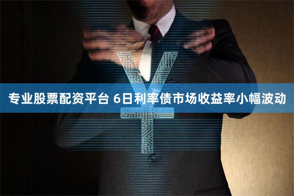 专业股票配资平台 6日利率债市场收益率小幅波动