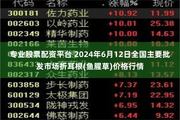 专业股票配资平台 2024年6月12日全国主要批发市场折耳根(鱼腥草)价格行情