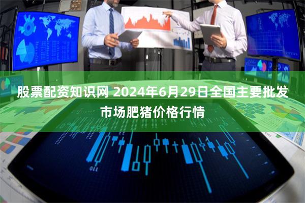 股票配资知识网 2024年6月29日全国主要批发市场肥猪价格行情