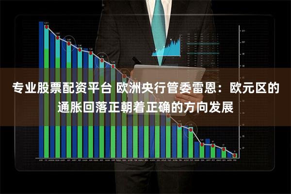 专业股票配资平台 欧洲央行管委雷恩：欧元区的通胀回落正朝着正确的方向发展