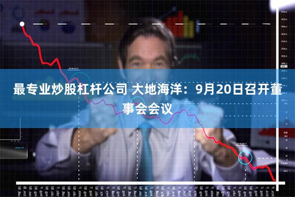 最专业炒股杠杆公司 大地海洋：9月20日召开董事会会议