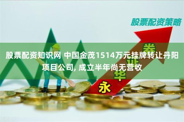 股票配资知识网 中国金茂1514万元挂牌转让丹阳项目公司, 成立半年尚无营收