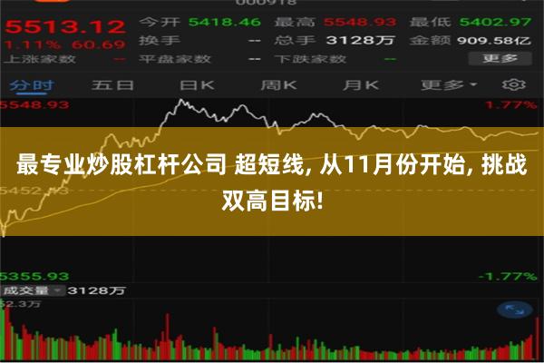 最专业炒股杠杆公司 超短线, 从11月份开始, 挑战双高目标!