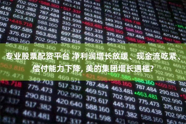 专业股票配资平台 净利润增长放缓、现金流吃紧、偿付能力下降, 美的集团增长遇槛?