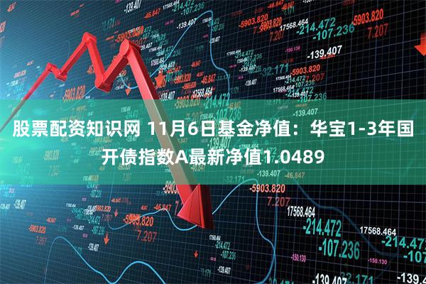股票配资知识网 11月6日基金净值：华宝1-3年国开债指数A最新净值1.0489