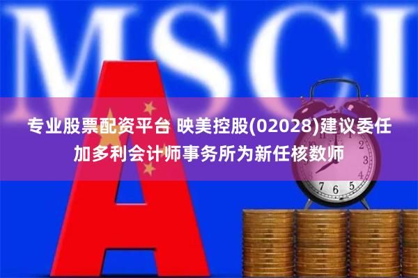 专业股票配资平台 映美控股(02028)建议委任加多利会计师事务所为新任核数师