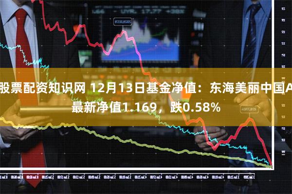 股票配资知识网 12月13日基金净值：东海美丽中国A最新净值1.169，跌0.58%