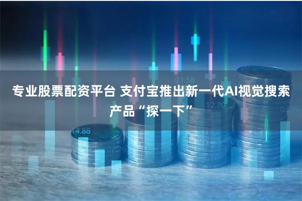 专业股票配资平台 支付宝推出新一代AI视觉搜索产品“探一下”