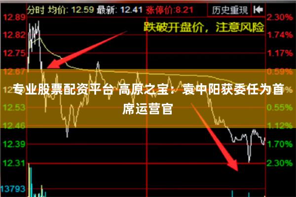专业股票配资平台 高原之宝：袁中阳获委任为首席运营官