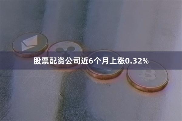 股票配资公司近6个月上涨0.32%