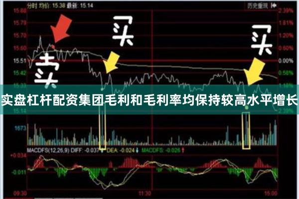 实盘杠杆配资集团毛利和毛利率均保持较高水平增长